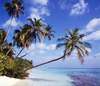 Reethi Beach Resort 